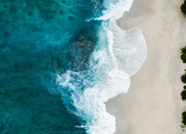 Moving With Water: Environmental Healing Through Somatic Political Ecology